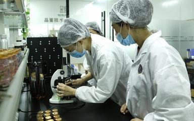 品鑒即食燕窩OEM貼牌工廠 代加工初心可“品鑒”，技術服務先行